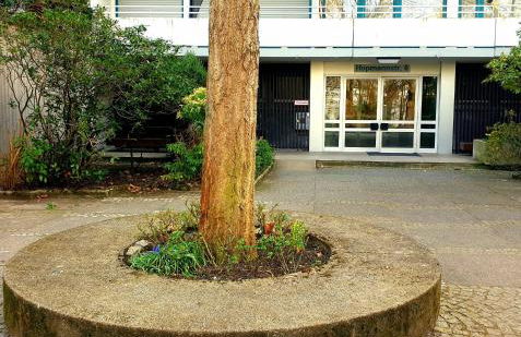 Bonn Lounge - Foto 17