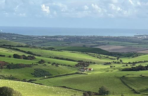 Primrose Cabin - Foto 29