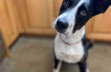 Pacific Coast Highway Milkhouse - Foto 12