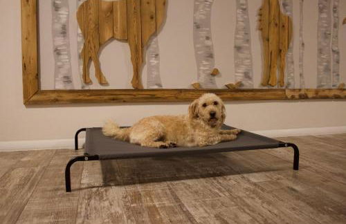 Ferienhaus Landruhe - Foto 20