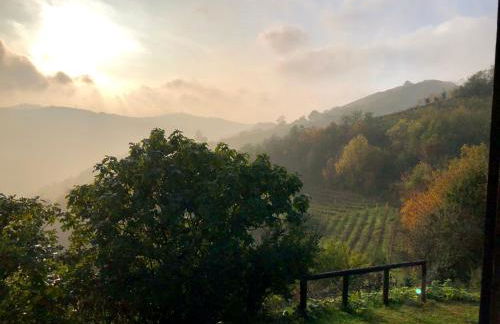 Il cortile dei frutti selvatici - Photo 57