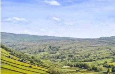 Granny Vera's @ Marigold Cottage - Foto 11