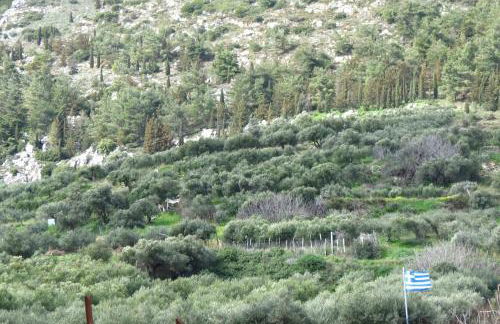 Unique Apartment'KONAKI' - Foto 9