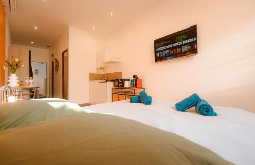 Rooftop N°38 - Rooms et Studios - Vue Cité Médiévale - Foto 35