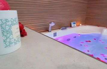 Hôtel Particulier Cour Dupont - Photo 37