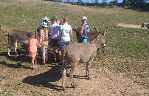 Toskania Kociewska - Photo 46