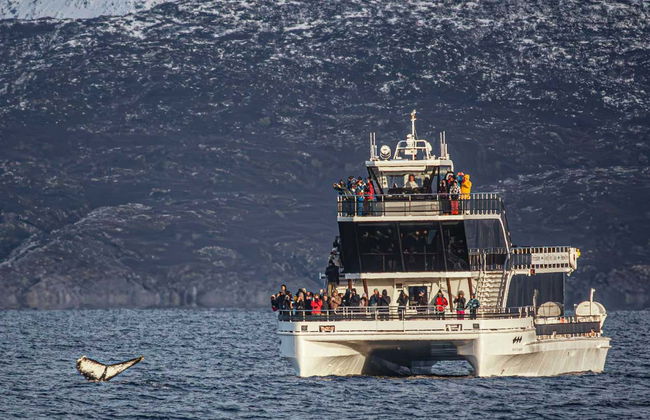 Whale Watching Fjord Cruise - Foto 2