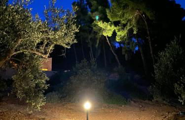 Askalosia villa - Foto 78