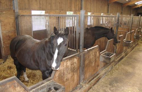 Garbers-Hof - Foto 60