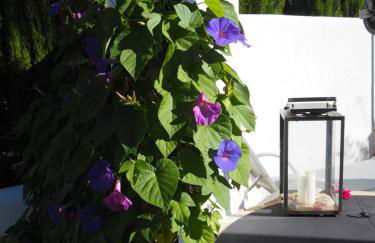 carpe Diem - Foto 29