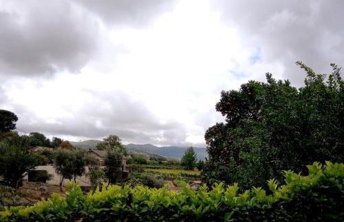 Miguas House - Foto 28