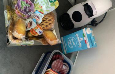 Il gatto e la volpe 1 - Foto 24