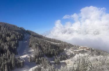 Courchevel Ski In/Ski Out - Foto 26