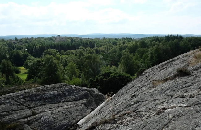 4 Person Holiday Home in Kyrkesund-by Traum - Foto 15