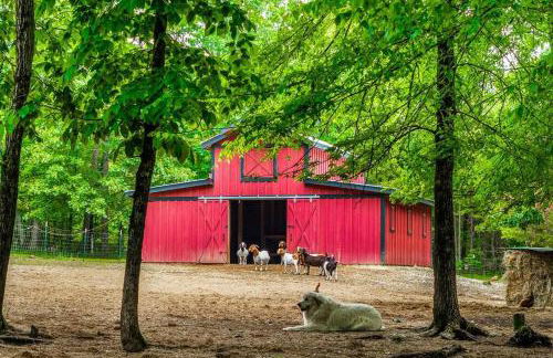 Faith Family Farmhouse on Farm in Mentone, Alabama - Foto 42