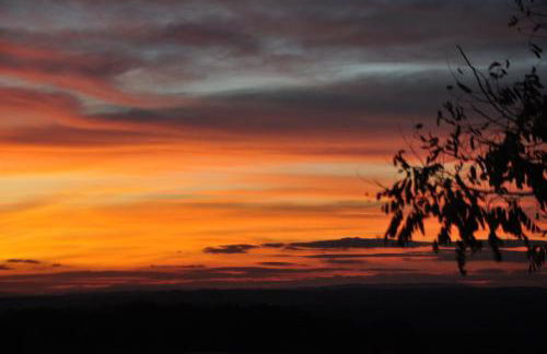 Apartment Green Elephant - Foto 39