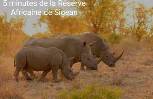 Gîte « domaine de l’oustal nau » - Foto 41