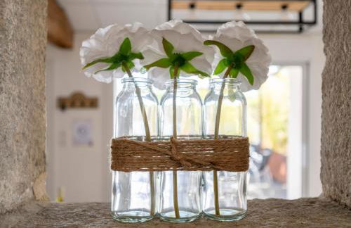 Gîte de la Tiboire - Salle de Festivités et Salle de Jeux - Photo 49