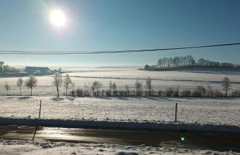 Ferienhaus Eifelfreude - Foto 16