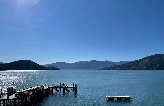 The Lodge At Te Rawa - Boat Access Only - Foto 19