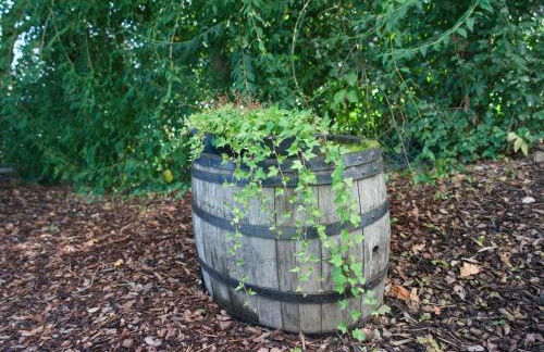Ferienwohnung Im Wiesengrund - Photo 25