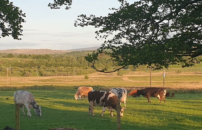 Cosy Wood Cabin in Rural Area Near National Park - Foto 17