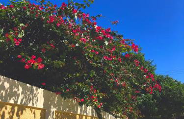 Concha Do Mar Triplex - Foto 17