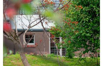 Kozy i Róże - Foto 19