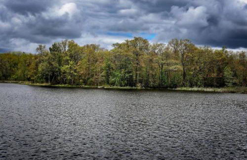 Pet-Friendly Lakeside Cabin Ideal for a Family Getaway in Wisconsin - Foto 43