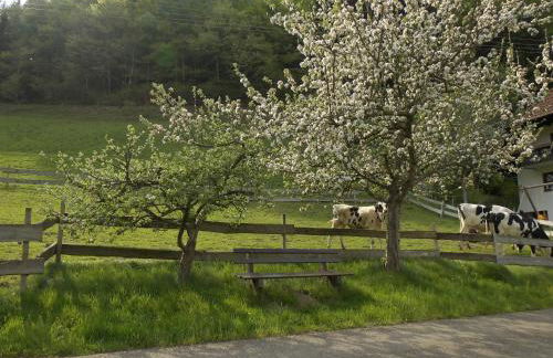 Urlaub auf dem Hänslehof - Foto 21