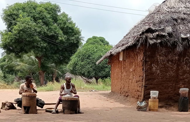 Tour por el bosque Kaya Kinondo - Foto 1