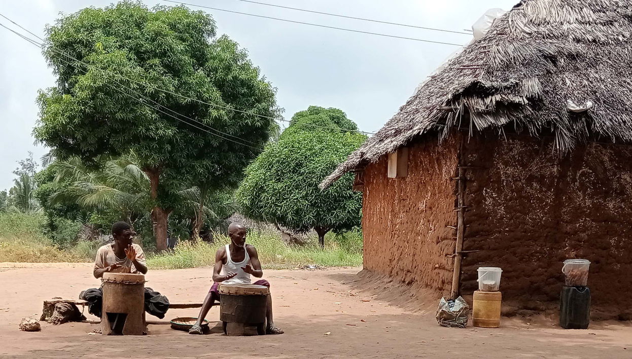 Tour por el bosque Kaya Kinondo