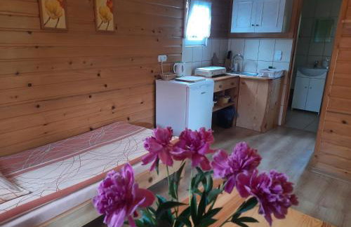 Pod Bocianim Gniazdem 691-363-701 - Foto 7