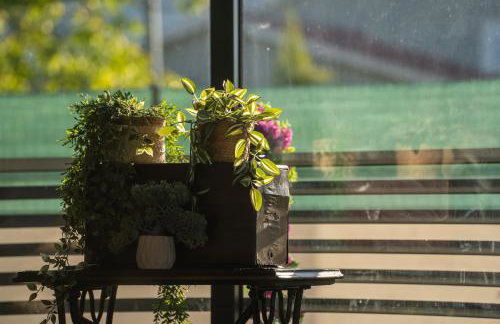 Palomino house - Foto 10