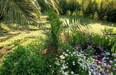 Anna Daniil Oasis Studios Skala Kallonis - Foto 49