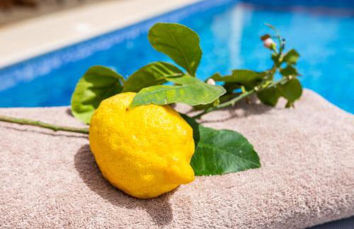 Karpathos View Villa - Foto 10