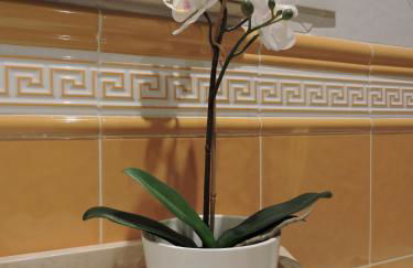 La Casa De La Abuela - Photo 29