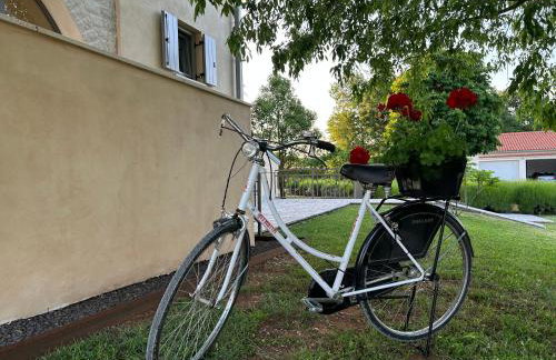 Villa Branko Istria - Foto 56