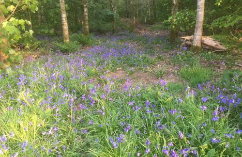Summer House, Glassonby - Foto 20