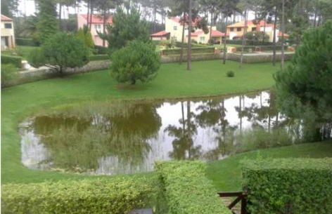 Praia de Mira casa de vacaciones, un paraíso de paz - Foto 25