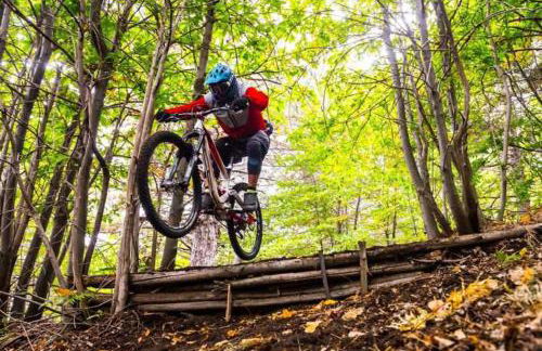 Just Like Home - Casa do Sobreiro Velho em Cerveira - Foto 53