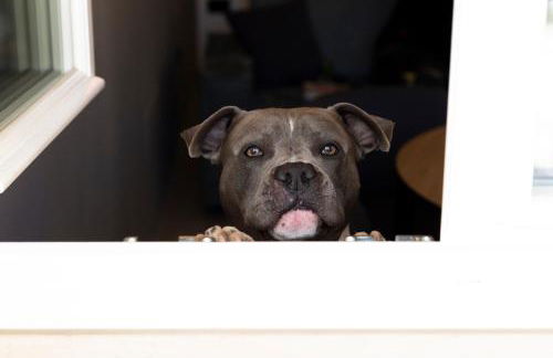 Residence - Palais Hörtenberg - Foto 42