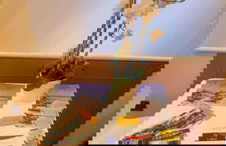 EVA LUXURY SUITE - Foto 7