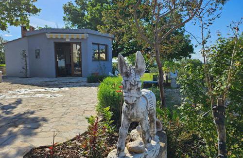 VILLA DOCI - Photo 5