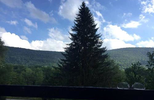 Rustic Couples' Cabin for Idyllic Catskills Getaway, Upstate New York - Foto 18