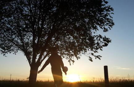 Agriturismo Ravaglia Grande - Photo 46