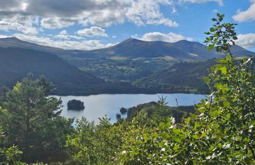 Les Marmottes de Murol - Foto 44