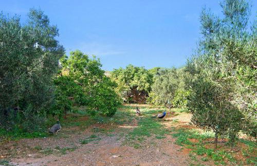 Casa Las Toscas - Foto 36