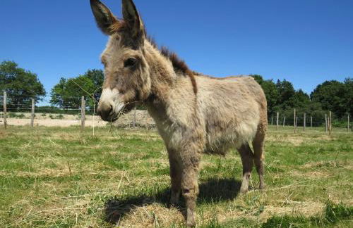 Chalet Les P'tites Maisons dans la Prairie - Foto 46