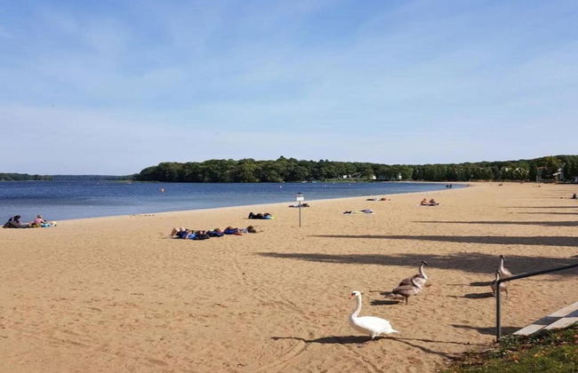 Wooden House in Plate Near Lake Schwerin - Foto 35